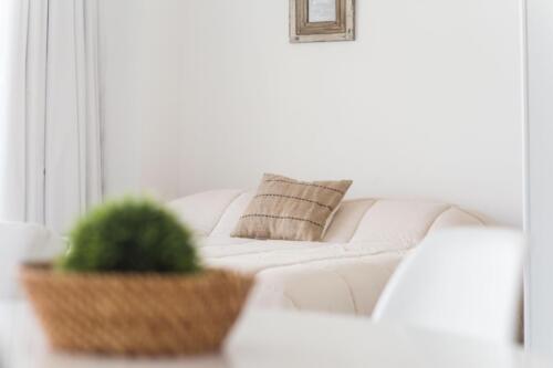 Studio Apart with Balcony detalles